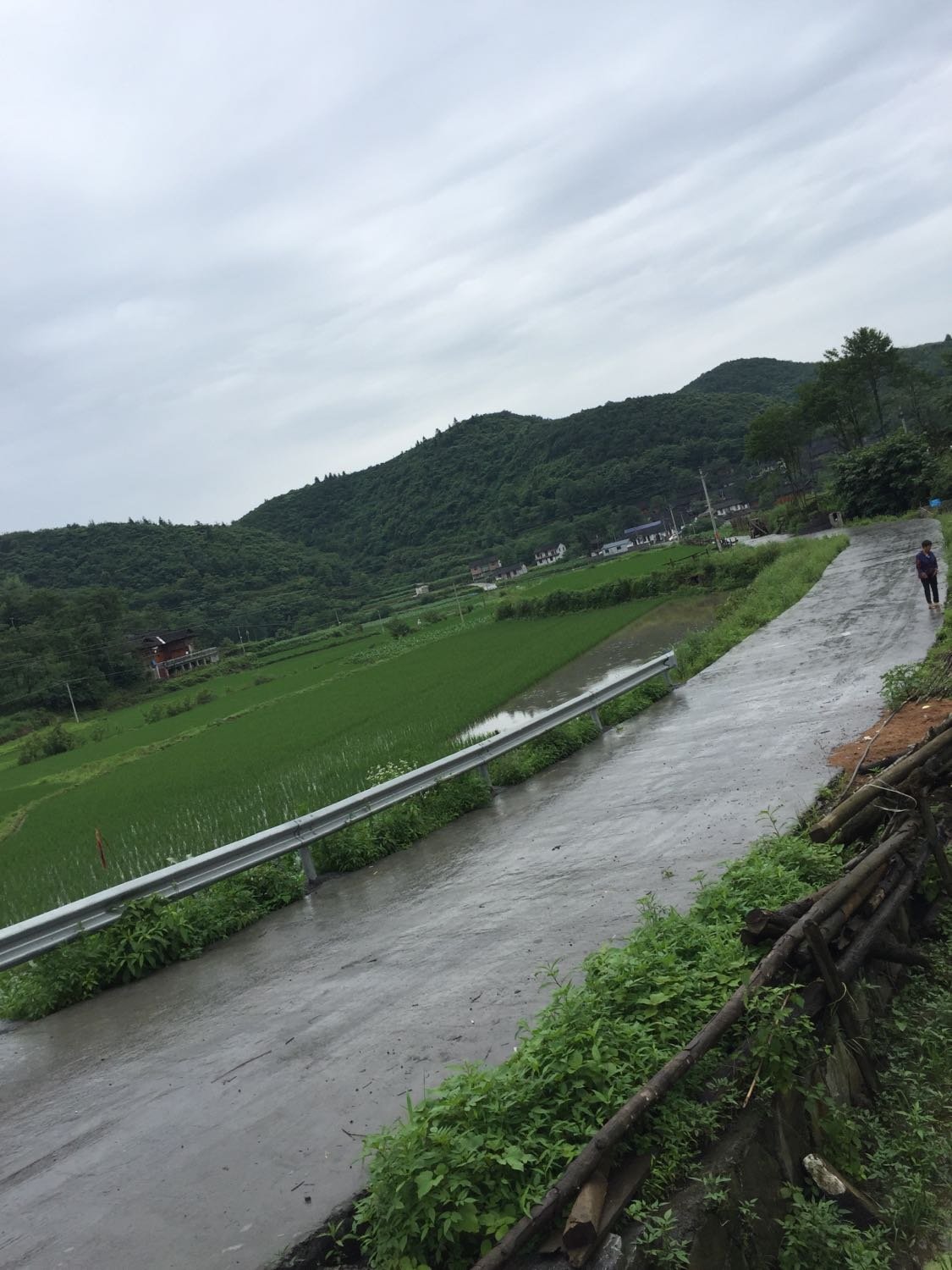 舀水村委会最新天气预报