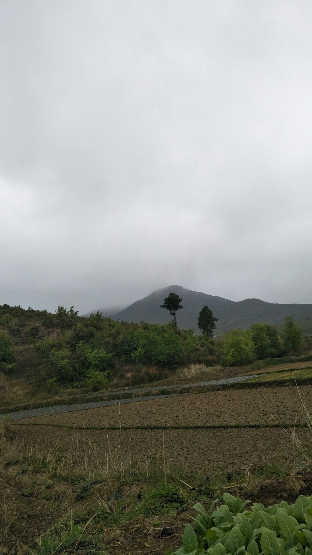 永纳库村天气预报更新通知