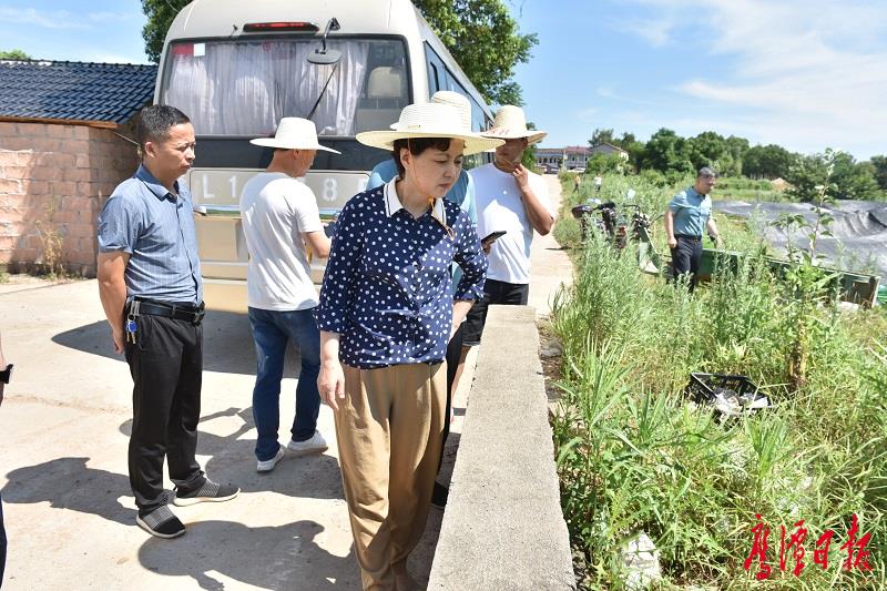 白露村新任领导引领村庄迈向辉煌未来