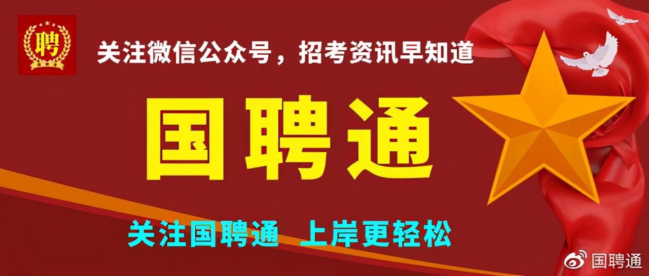 绿园区市场监督管理局最新招聘概览